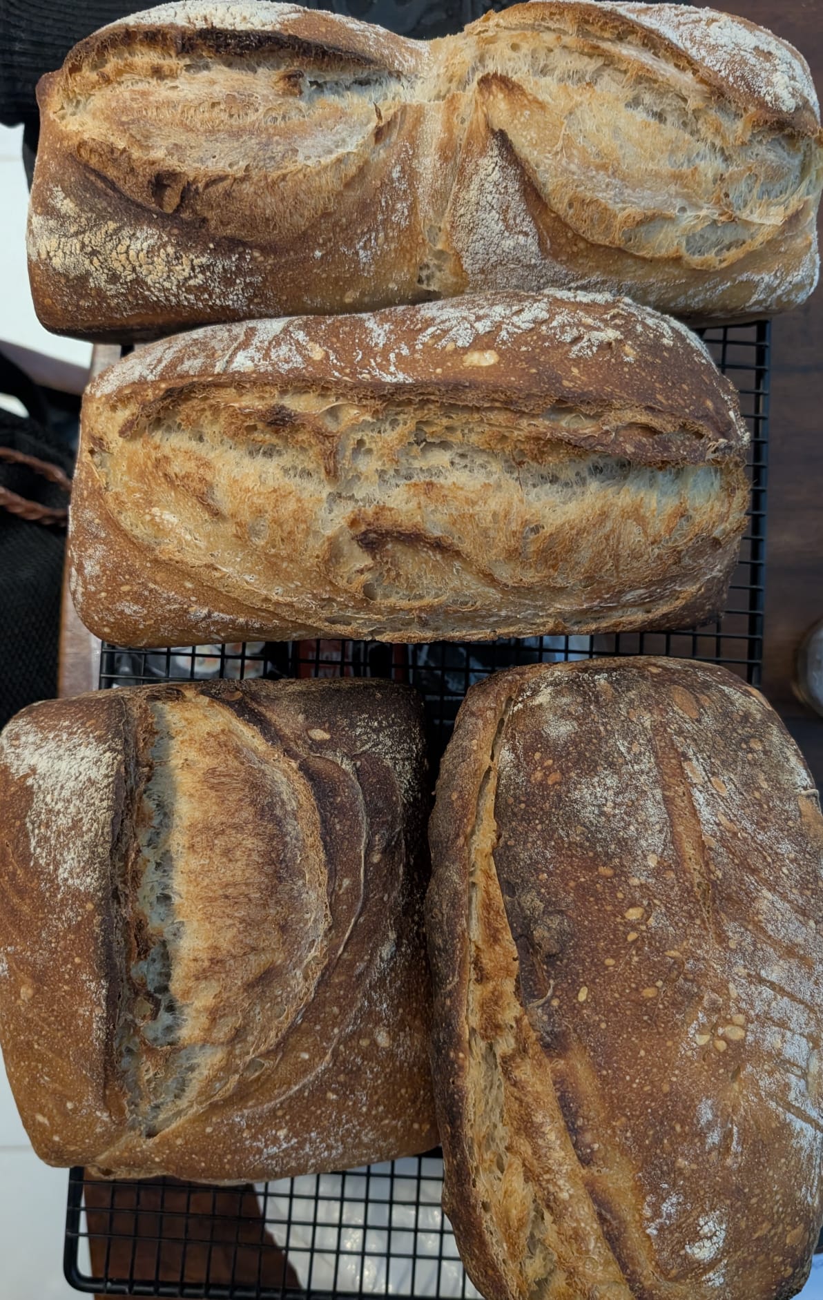 Four deeply browned sourdough loaves with scored crusts, cooling on racks.